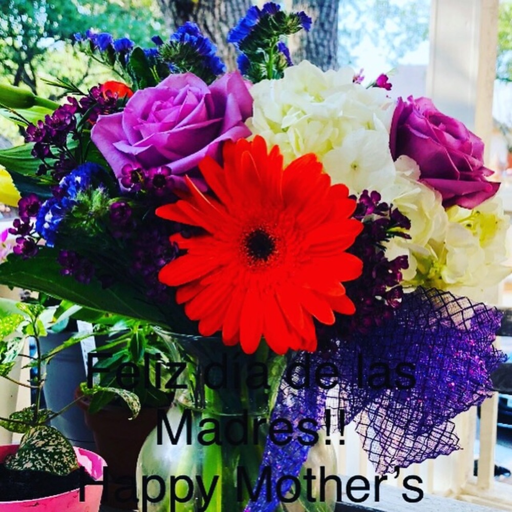 Meet your Posher, Betty